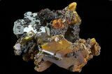 Wulfenite Crystals on Matrix - Mexico #67735-1